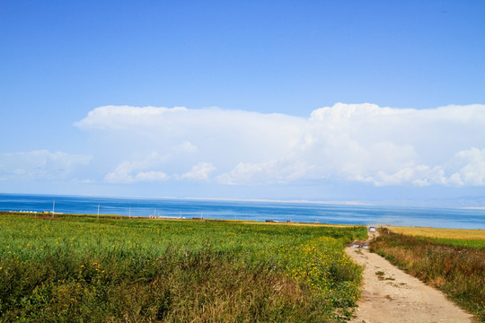 青海湖