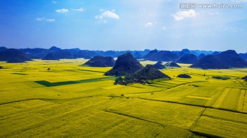 罗平油菜花