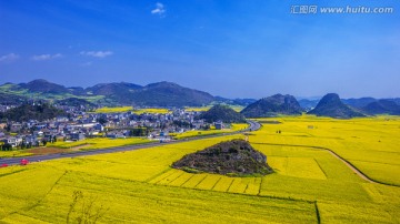 罗平金鸡岭油菜花