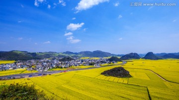 罗平油菜花