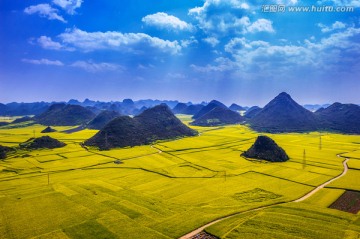 罗平油菜花田