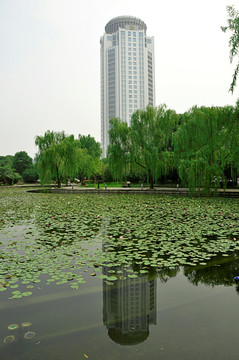 滨水酒店建筑及倒影