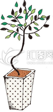 花盆 家居飾品