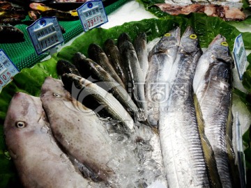 海鲜 鱼虾 卖场