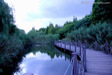 湿地栈道