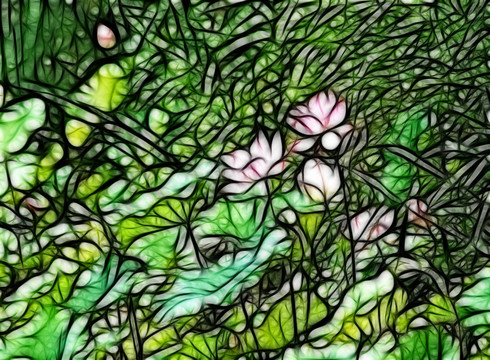 荷花抽象畫(huà)
