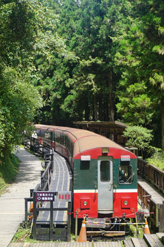 台湾阿里山小火车