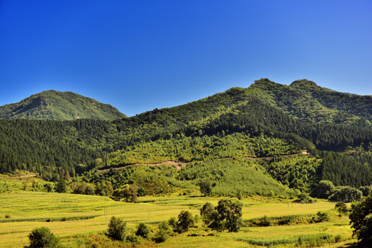 山野田园