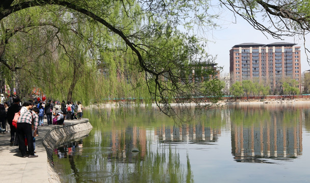 北京玉渊潭公园