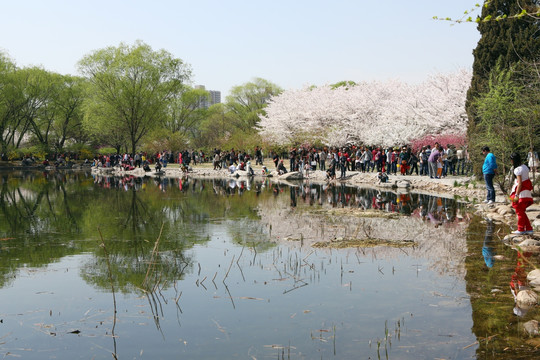 北京玉淵潭公園