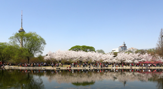 北京玉渊潭公园