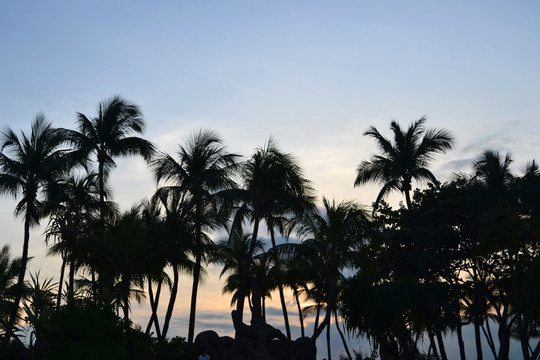 椰岛夕阳