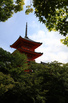 京都清水寺