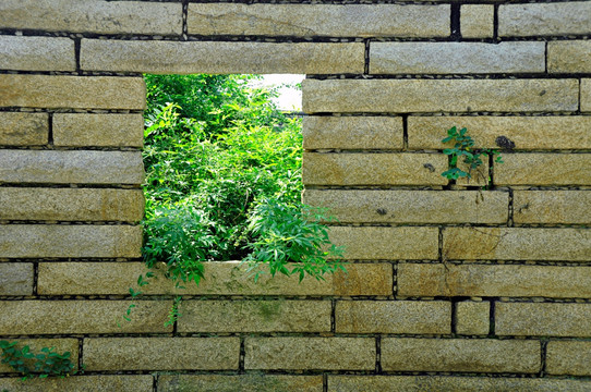 石头墙窗口绿植