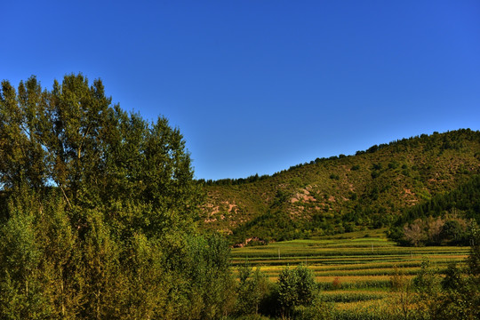 山野田园