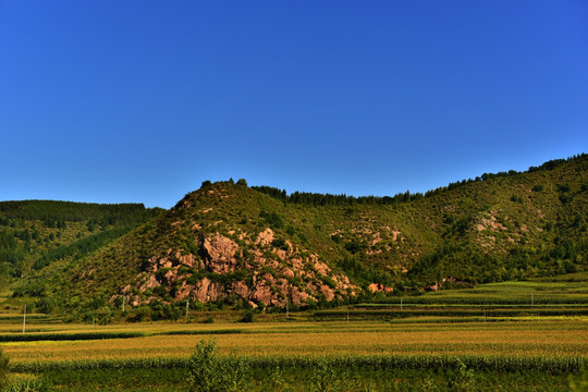 山野田园