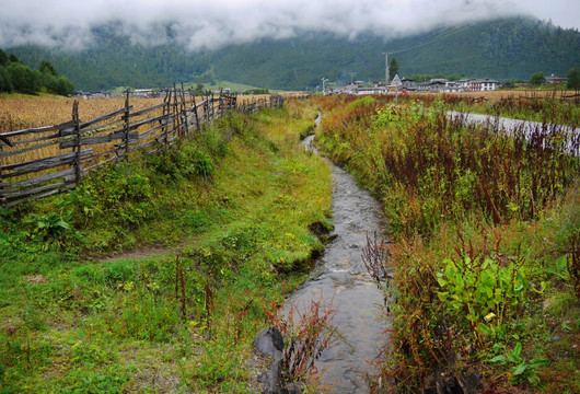 高原田园风光