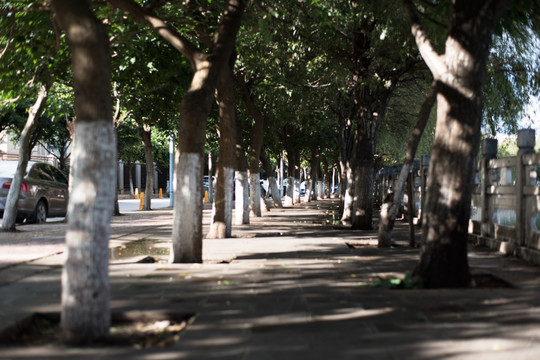 青石板路面