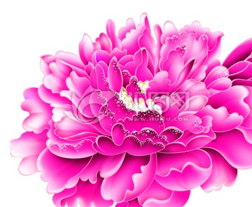 牡丹花分層效果圖