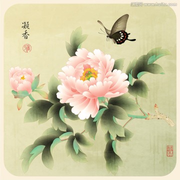 牡丹 蝴蝶 工筆畫