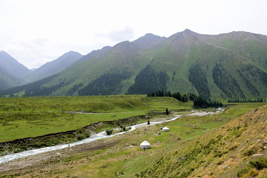 高山牧场