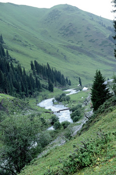 高山牧场