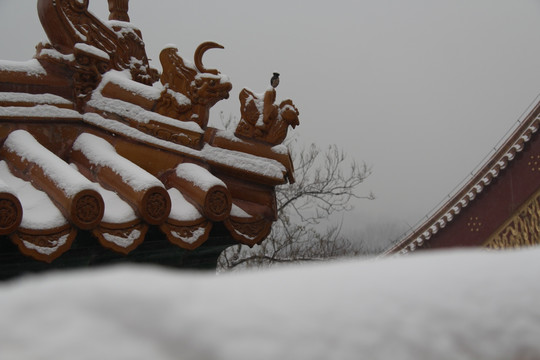 颐和园雪景