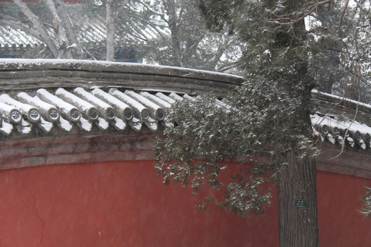 颐和园雪景