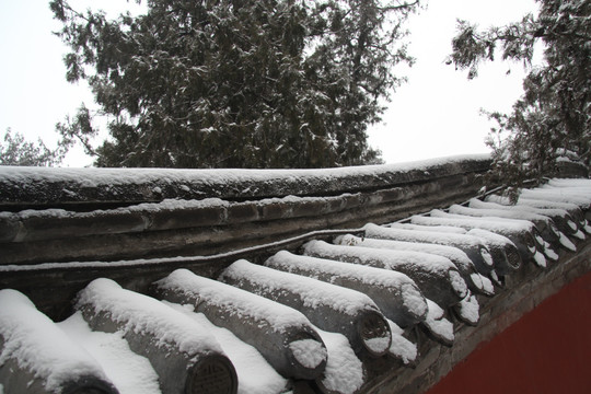 颐和园雪景