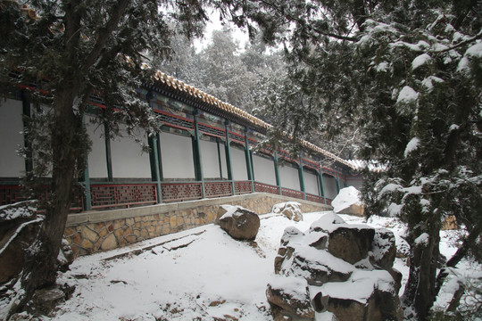 颐和园雪景