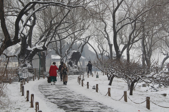 颐和园雪景