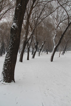 颐和园雪景