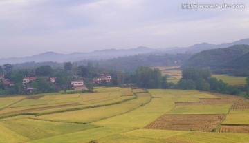 秋天田野