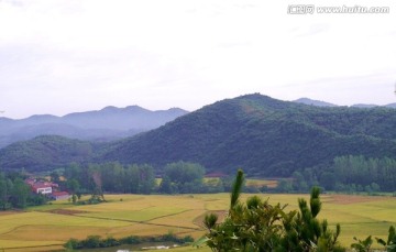 秋天田野