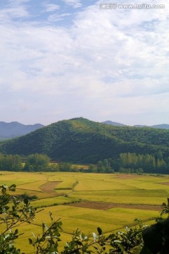 秋天田野