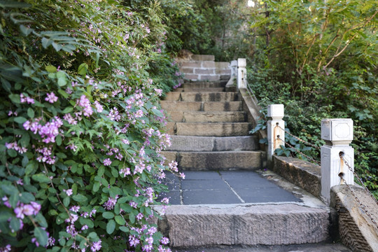 台阶 阶梯 园林小路