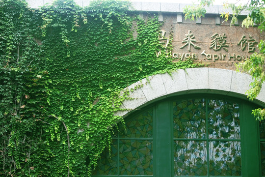 马来貘馆 北京动物园