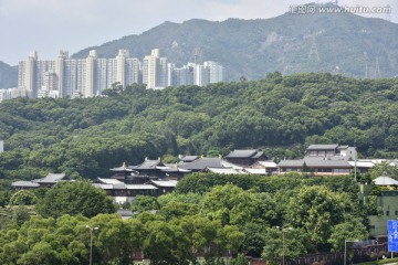 香港旅游