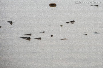 退潮后的海滩