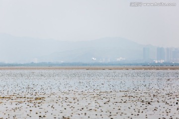 退潮后的海滩