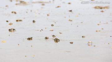 退潮后的海滩