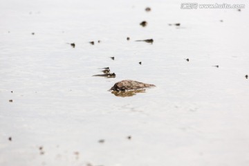 退潮后的海滩