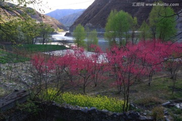 春天的田野