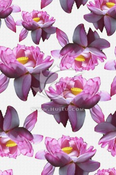 數(shù)碼花卉