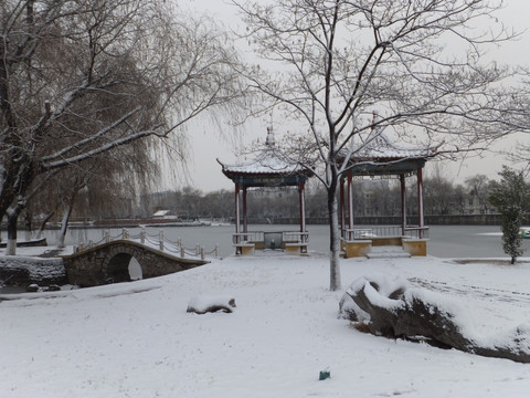 雪景 公园雪景