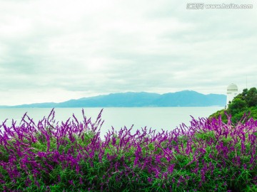 湖景