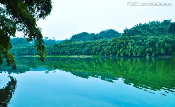 竹海风景