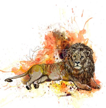 手绘狮子水彩插画（未分层）
