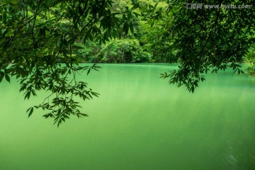 森林湖水