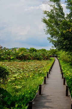 木栈道